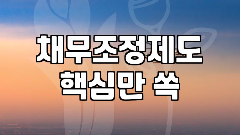 개인회생, 1년은 기본… 현실적인 기간과 예상치 못한 변수들