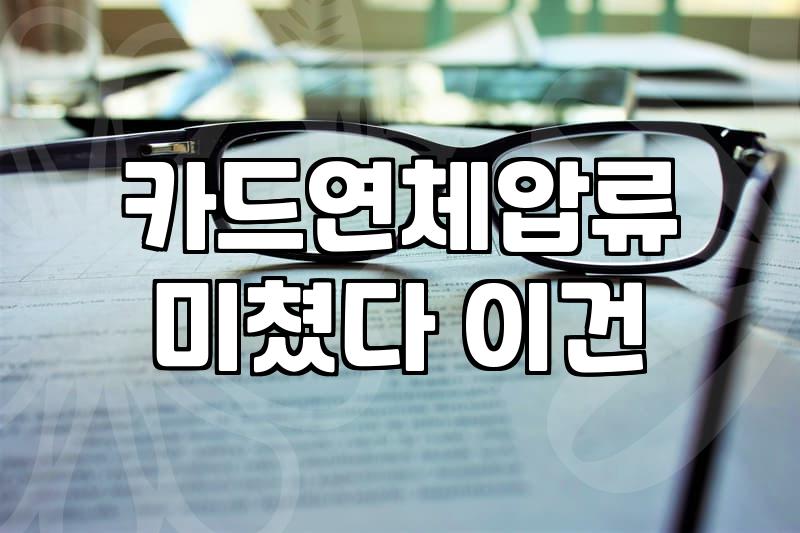 카드 연체와 압류, 현실적인 대응과 딜레마에 관하여