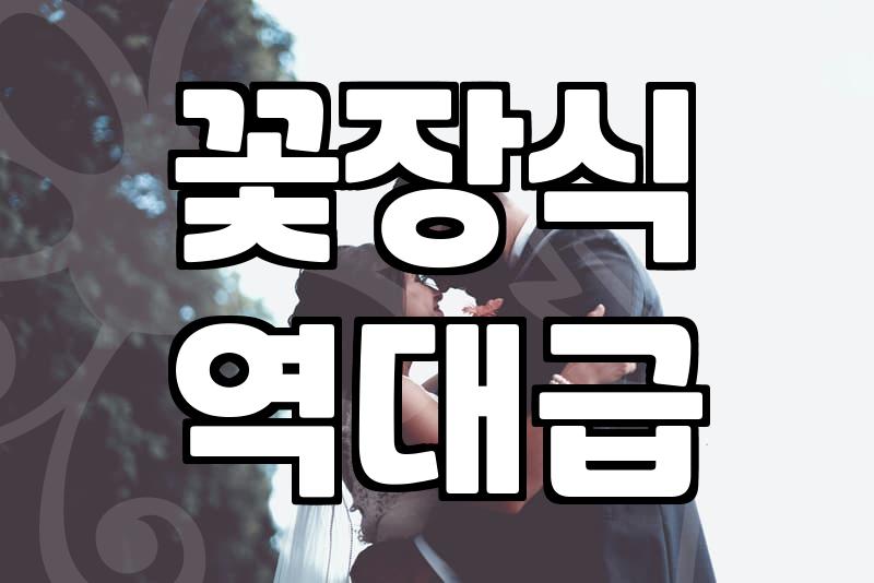 하우스웨딩비용 거품 빼고 현명하게 따져보는 예산 수립 가이드