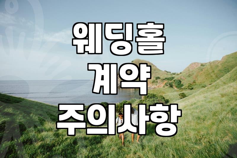 막막한 결혼 준비, 웨딩홀 투어부터 박람회 활용까지 현실적인 체크리스트