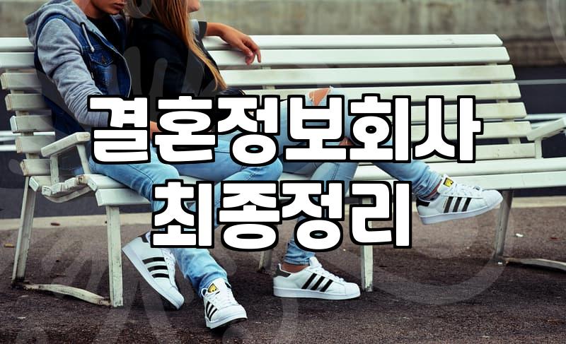 결혼소개소 가입 비용과 실제 성사율을 좌우하는 세 가지 조건