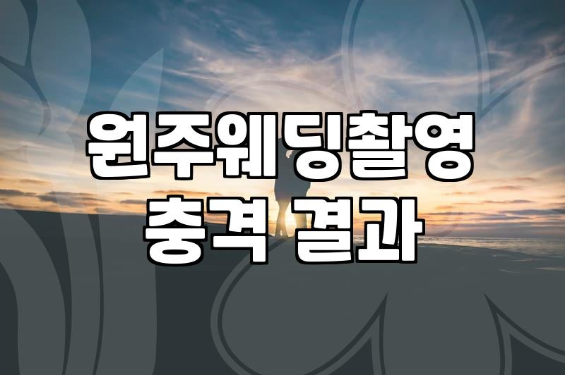 디앤유웨딩 이용 전 알아야 할 실제 서비스 범위와 특징