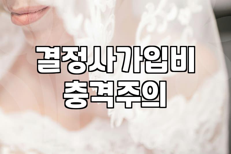 결정사후기 기반으로 분석한 가입 비용과 매칭 과정의 실체