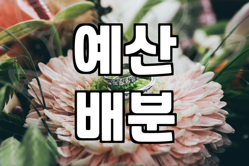 웨딩 준비를 시작할 때 반드시 따져봐야 할 현실적인 비용과 우선순위