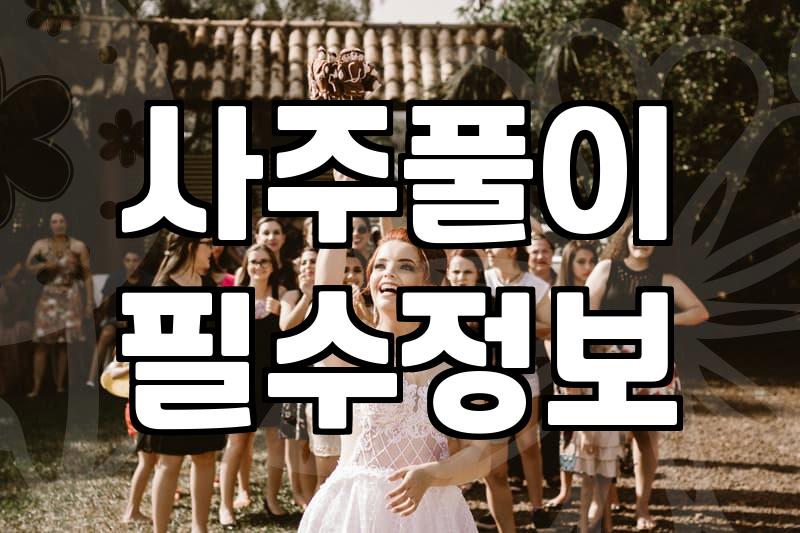 결혼사주 비용과 상담에서 주로 확인하는 항목