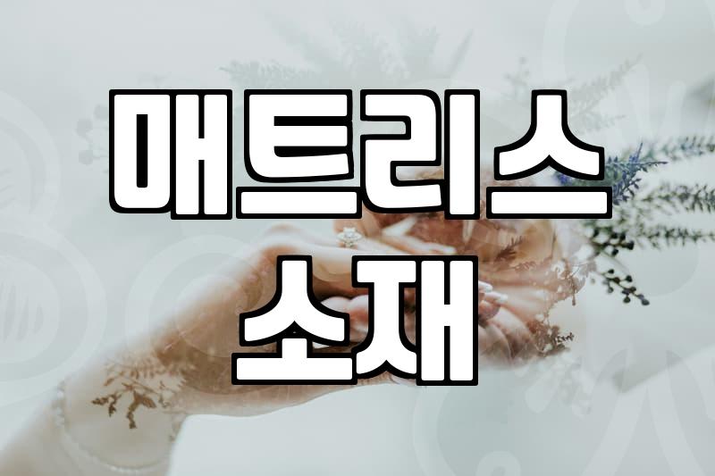 신혼부부, 고급침대 선택 시 이것만은 꼭 확인하세요