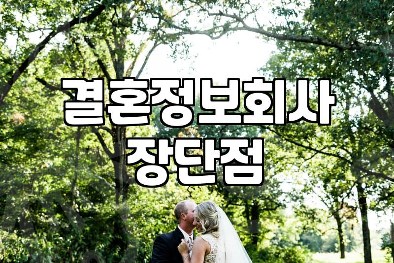 결정사, 정말 솔로 탈출의 지름길일까? 현실적인 고민들