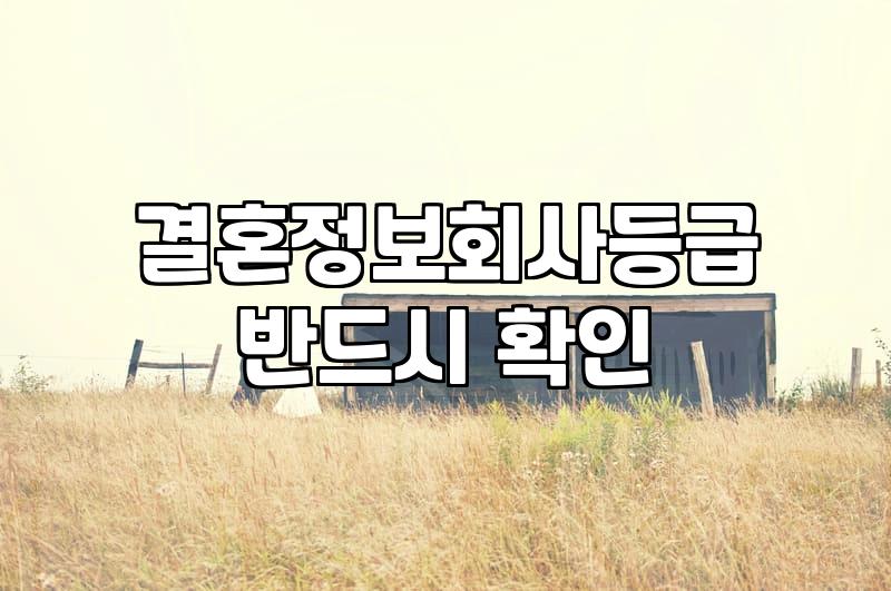 결혼정보회사, 정말 ‘급’이 맞아야 결혼할 수 있을까요?