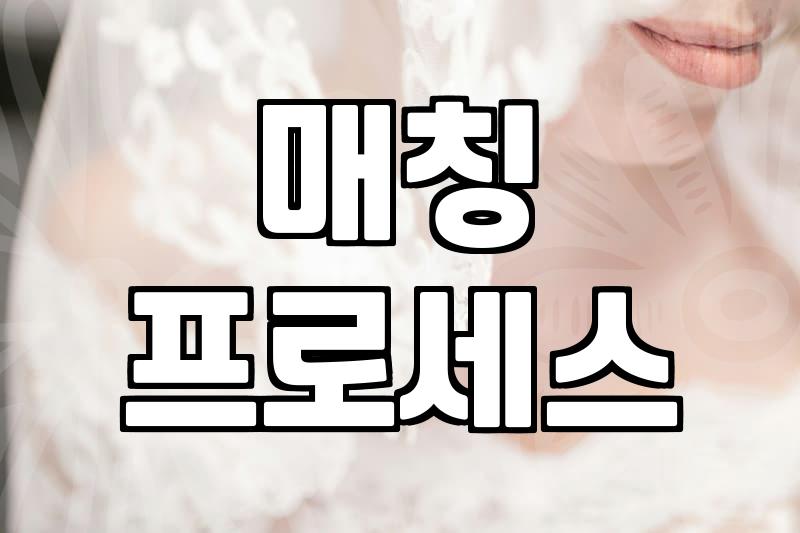 결정사 가입 전 반드시 따져봐야 할 현실적인 기준과 비용