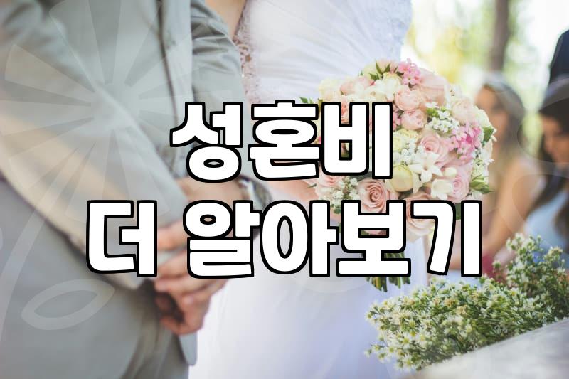 결혼정보회사, 제대로 알고 이용하기