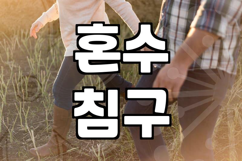 시댁에 보낼 예단이불 고를 때 후회 없는 브랜드 선택 기준
