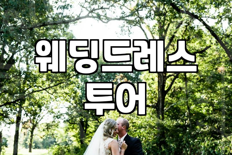 본식웨딩드레스 대여 비용과 결정에 영향을 미치는 요소