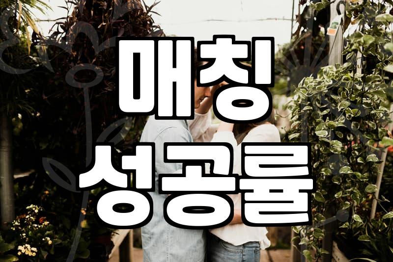 결정사 가입 전 반드시 알아야 할 현실적인 매칭 원리와 선택 기준
