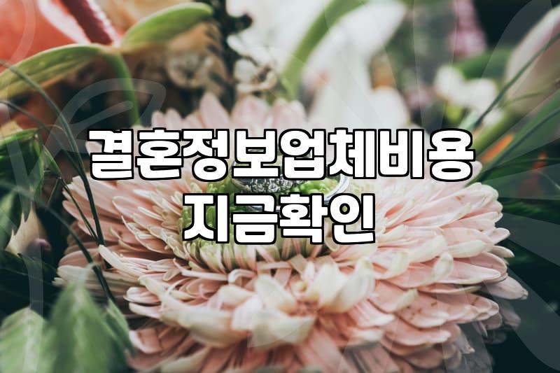 결혼소개비 결정하는 기준과 실제 지불 방식
