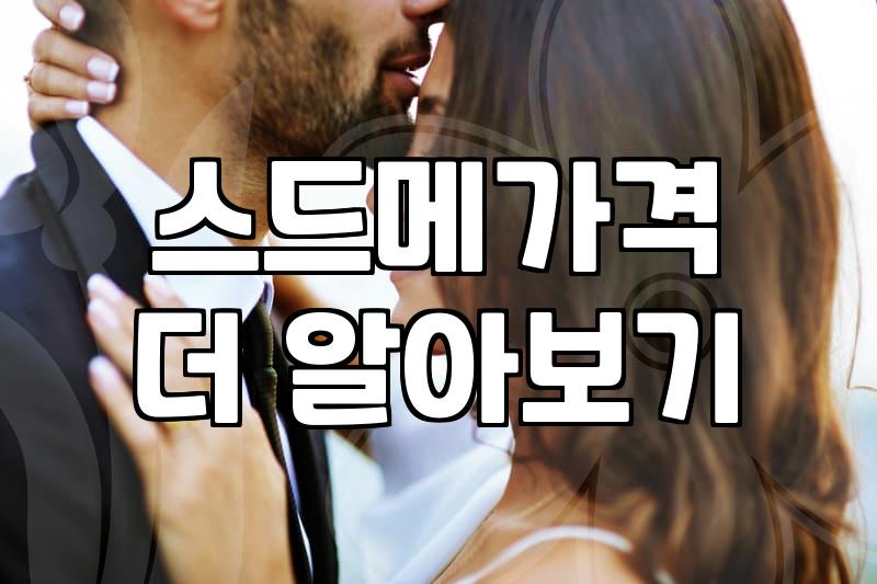 결혼플래너 동행과 비동행 유형별 서비스 차이점과 비용 구조