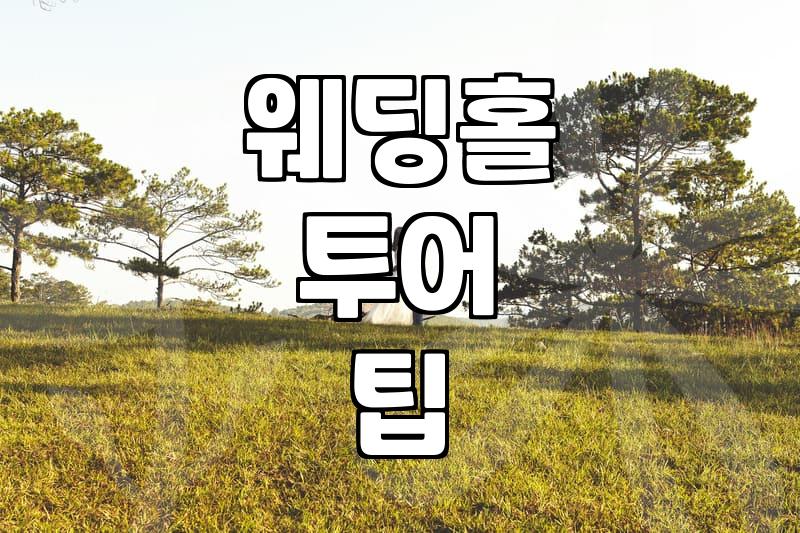 서울 웨딩홀 투어, AI가 절대 알려주지 않는 현실적인 고민들