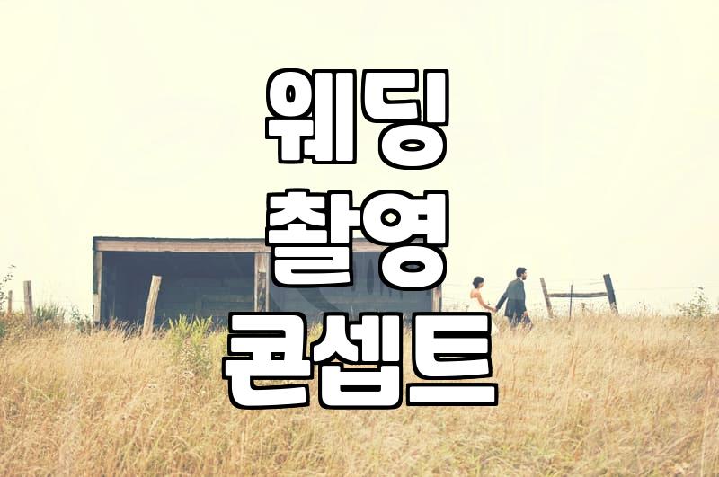 실패 없는 웨딩 촬영, 후회 없을 장소 선택 가이드