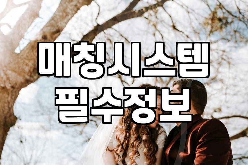 돌씽 재혼 준비할 때 가장 먼저 따져봐야 할 현실적인 기준들