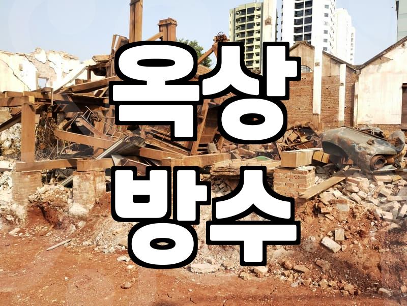 방수페인트, 옥상 누수 잡는 확실한 선택일까