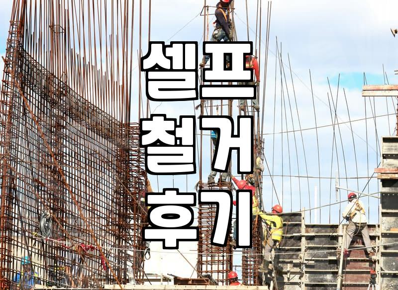 마루철거기계 빌려왔다가 허리 나갈 뻔한 날