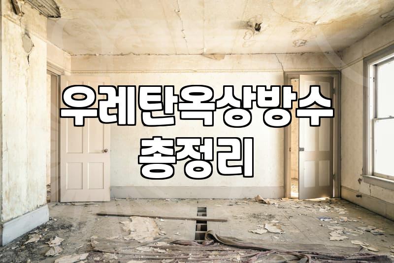 옥상 우레탄 방수, 직접 해보니 알겠는 것들: 비용, 과정, 그리고 현실적인 고민