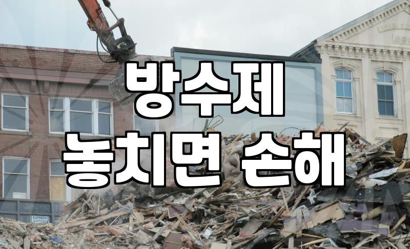 옥상방수, 셀프 vs 업체: 5년차 직장인의 솔직 후기