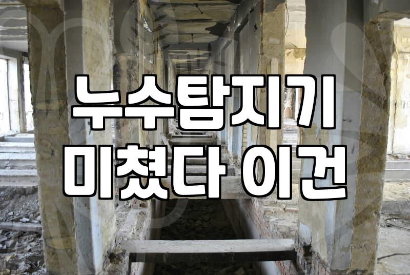 아파트 욕실 누수, 직접 해결해 본 솔직 후기: 얼마 들었고, 뭘 알아야 할까?