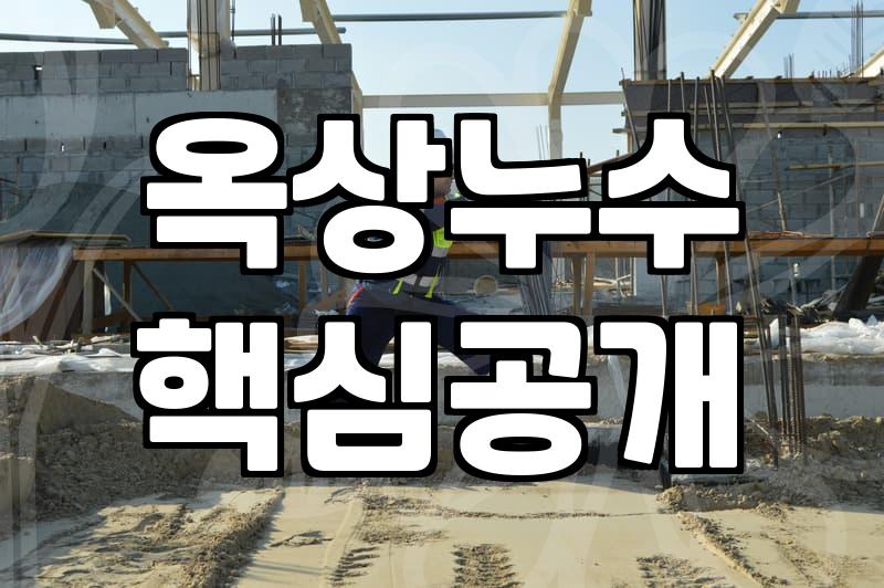 방수페인트 옥상 작업 전 반드시 알아야 할 시공 단계와 유지 관리법