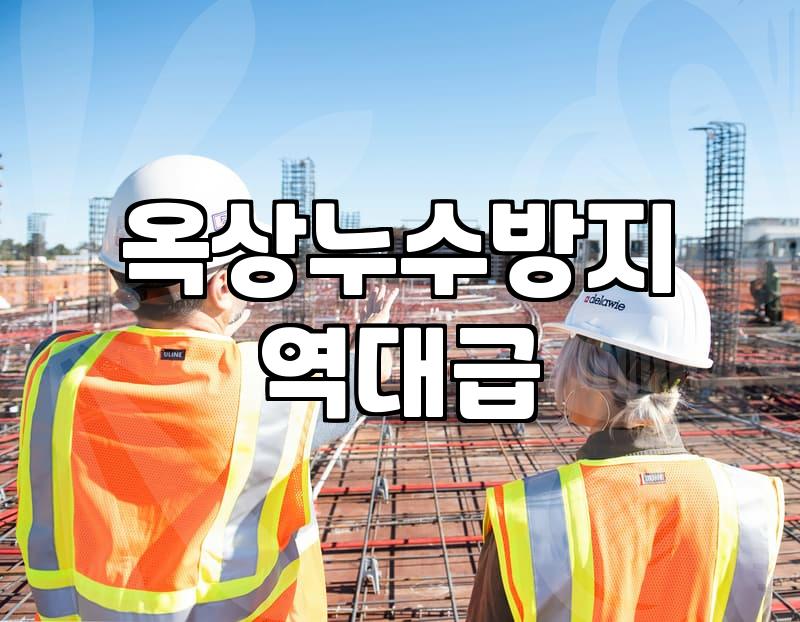옥상 방수, 교과서대로만 하면 망하는 이유