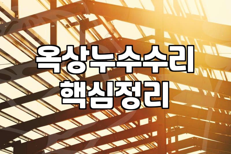 옥상에 바르는 방수제 함부로 샀다가 며칠 내내 고생만 했다