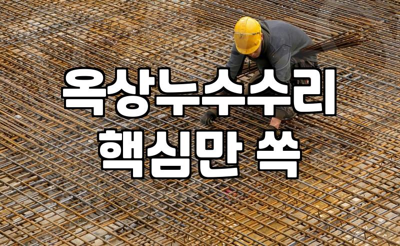 옥상 방수 공사 고민할 때 알아두면 좋은 시트와 페인트 차이