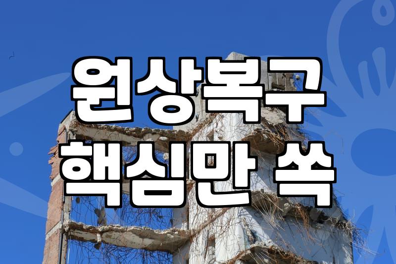 사무실 원상복구 하다가 진이 다 빠져버렸다