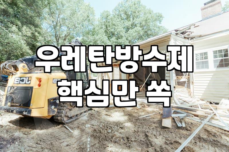 옥상에 우레탄 방수제를 바르다 꼬여버린 주말