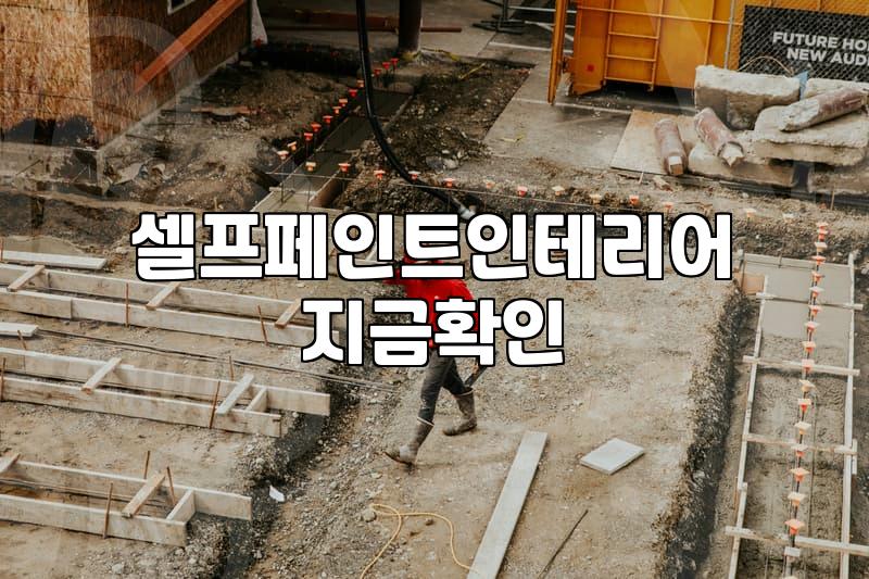 현관문 페인트 칠, 떼어내는 페인트가 정말 답일까? 현실적인 고민들