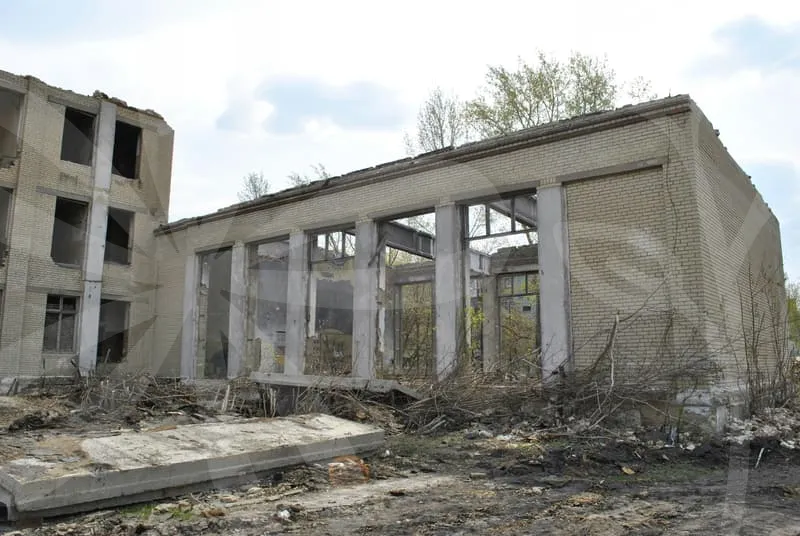 집정리업체비용